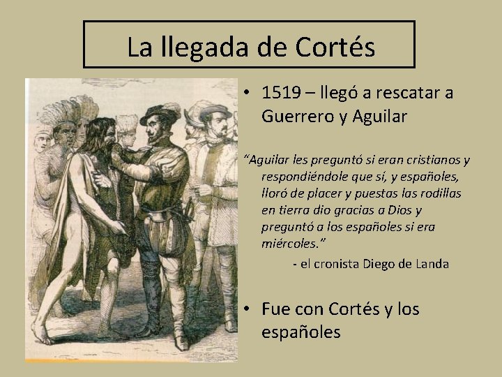 La llegada de Cortés • 1519 – llegó a rescatar a Guerrero y Aguilar