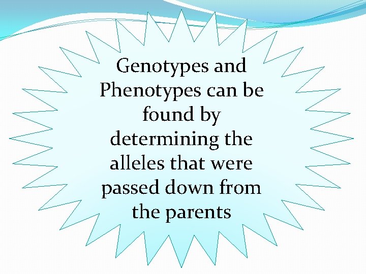 Genotypes and Phenotypes can be found by determining the alleles that were passed down