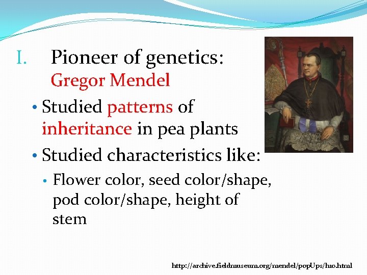 I. Pioneer of genetics: Gregor Mendel • Studied patterns of inheritance in pea plants