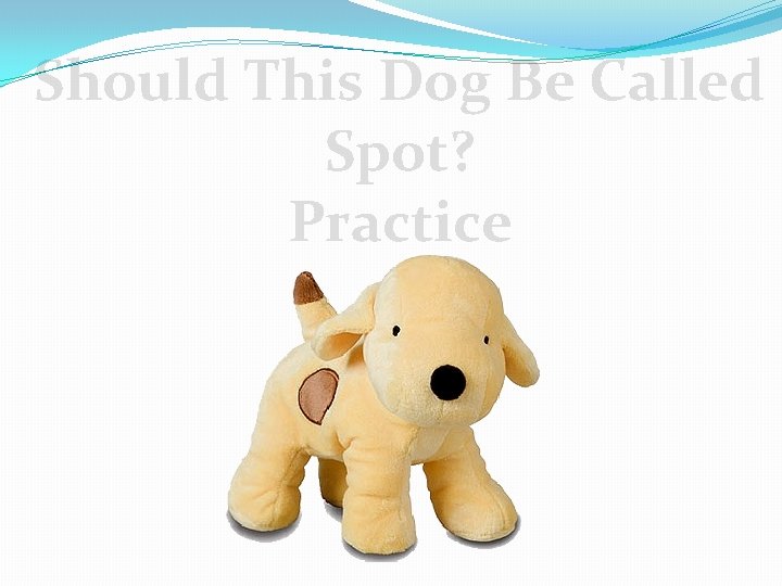 Should This Dog Be Called Spot? Practice 