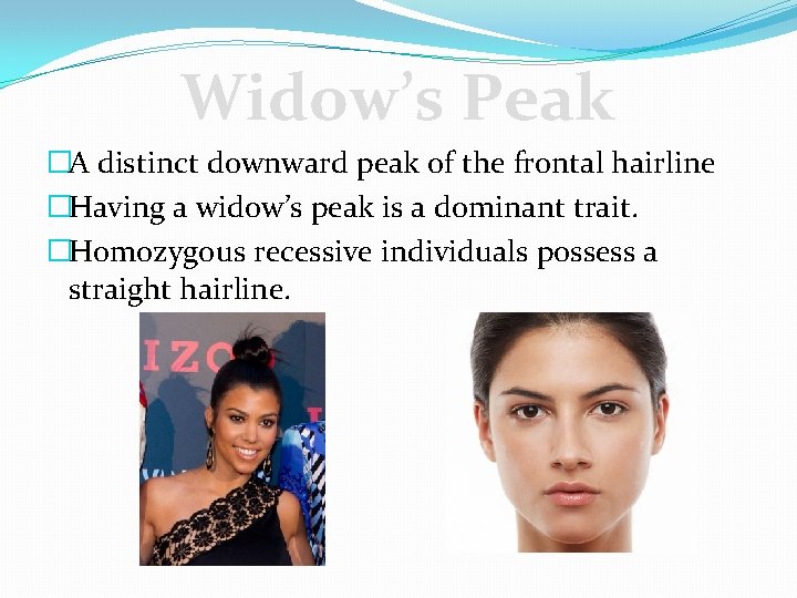 Widow’s Peak �A distinct downward peak of the frontal hairline �Having a widow’s peak