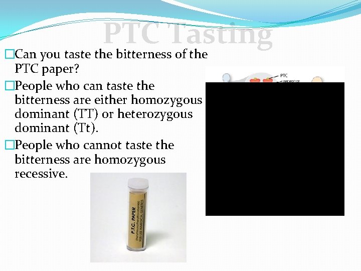 PTC Tasting �Can you taste the bitterness of the PTC paper? �People who can