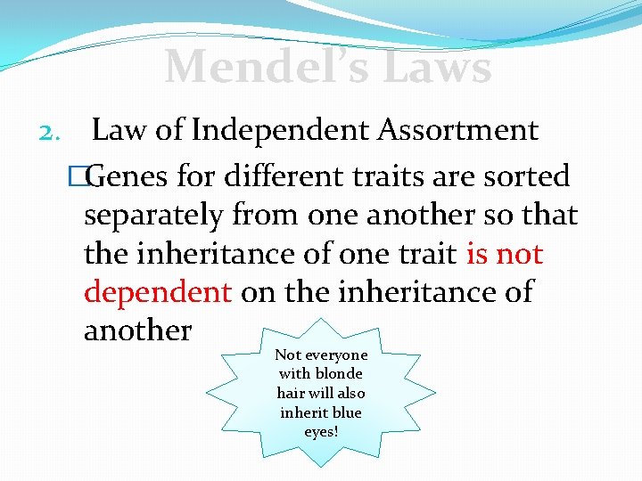 Mendel’s Laws 2. Law of Independent Assortment �Genes for different traits are sorted separately