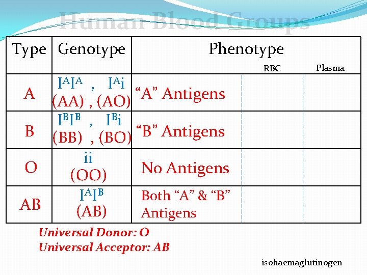 Human Blood Groups Type Genotype Phenotype IAIA , IAi A (AA) , (AO) “A”