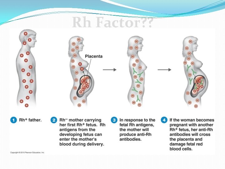 Rh Factor? ? 
