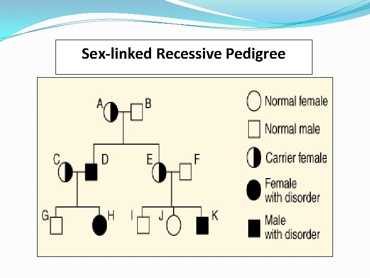 Sex-linked Recessive Pedigree 