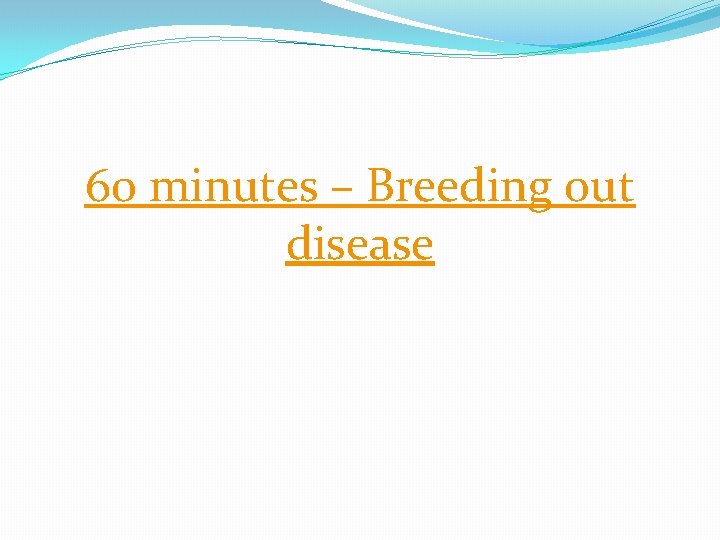 60 minutes – Breeding out disease 
