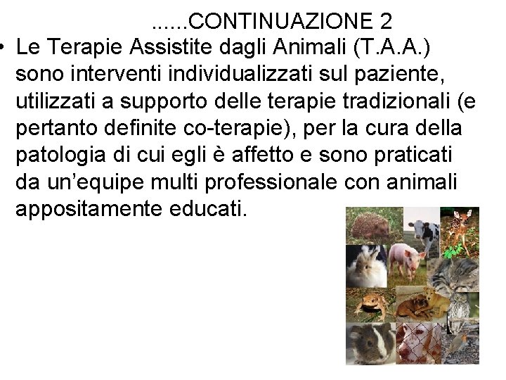 . . . CONTINUAZIONE 2 • Le Terapie Assistite dagli Animali (T. A. A.