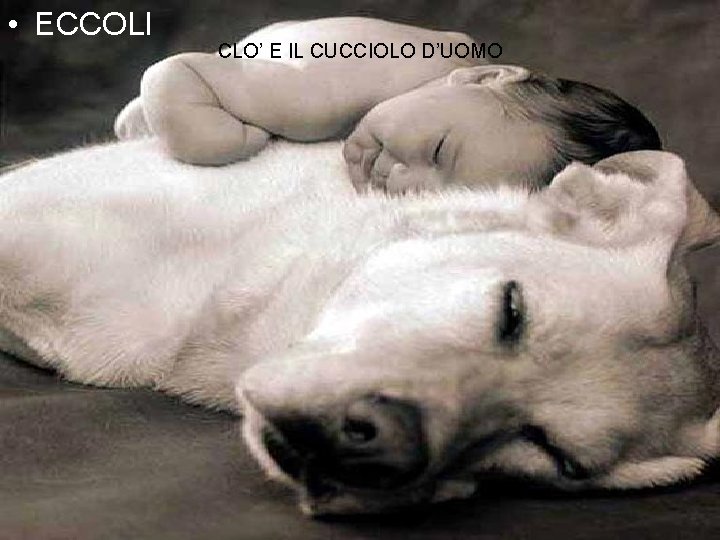  • ECCOLI CLO’ E IL CUCCIOLO D’UOMO 