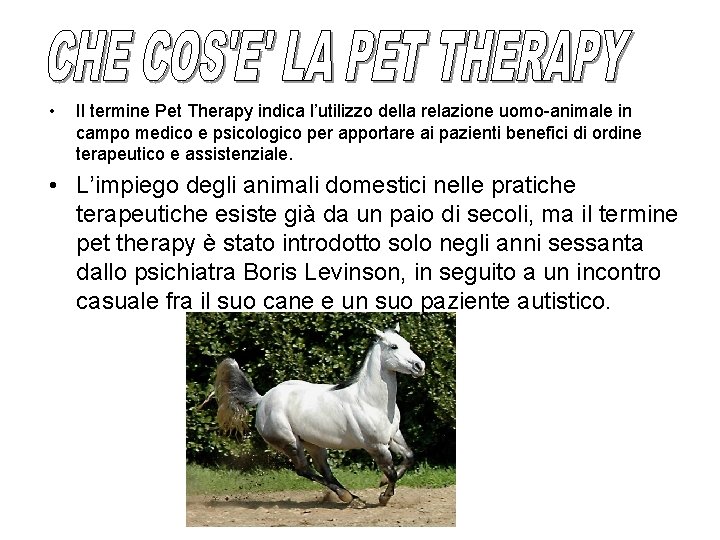  • Il termine Pet Therapy indica l’utilizzo della relazione uomo-animale in campo medico