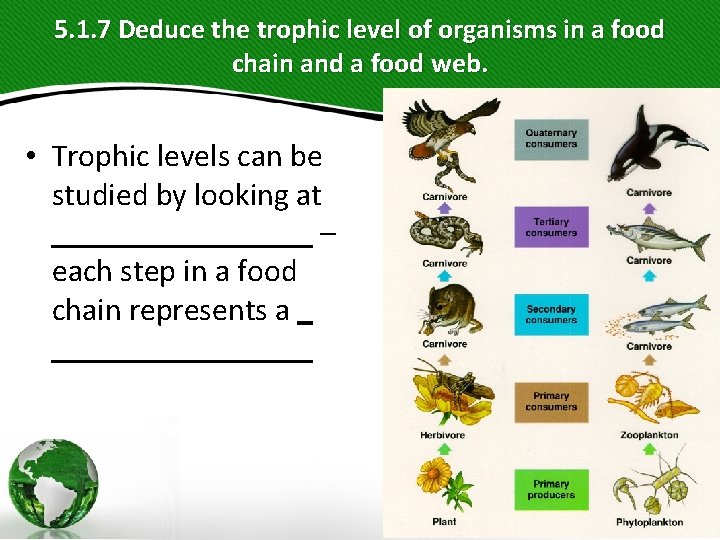 5. 1. 7 Deduce the trophic level of organisms in a food chain and 5. 1. 7 Deduce the trophic level of organisms in a food chain and