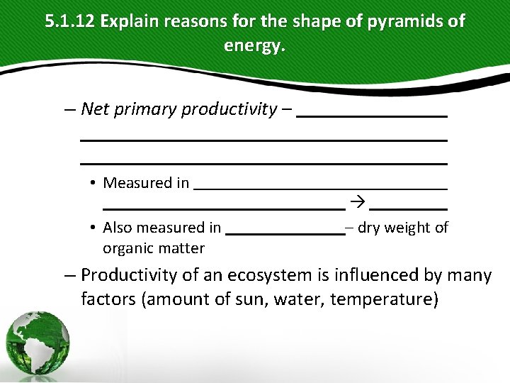 5. 1. 12 Explain reasons for the shape of pyramids of energy. – Net 5. 1. 12 Explain reasons for the shape of pyramids of energy. – Net