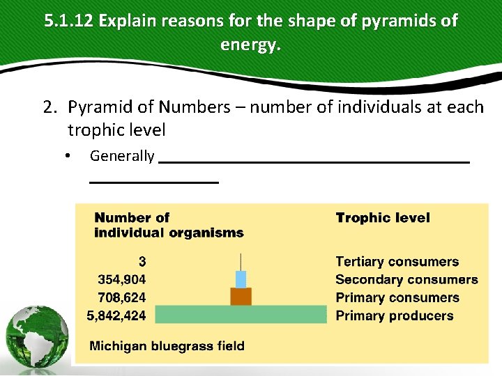 5. 1. 12 Explain reasons for the shape of pyramids of energy. 2. Pyramid 5. 1. 12 Explain reasons for the shape of pyramids of energy. 2. Pyramid