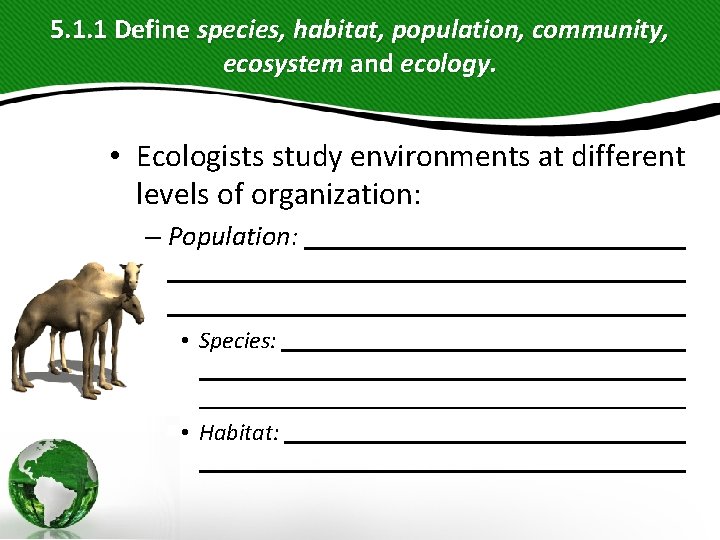 5. 1. 1 Define species, habitat, population, community, ecosystem and ecology. • Ecologists study 5. 1. 1 Define species, habitat, population, community, ecosystem and ecology. • Ecologists study
