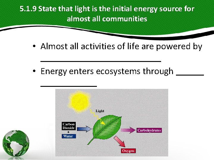 5. 1. 9 State that light is the initial energy source for almost all 5. 1. 9 State that light is the initial energy source for almost all