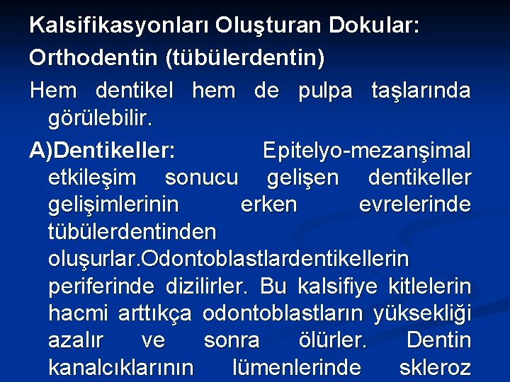 Kalsifikasyonları Oluşturan Dokular: Orthodentin (tübülerdentin) Hem dentikel hem de pulpa taşlarında görülebilir. A)Dentikeller: Epitelyo-mezanşimal