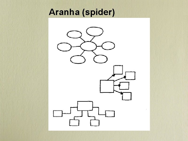 Aranha (spider) 