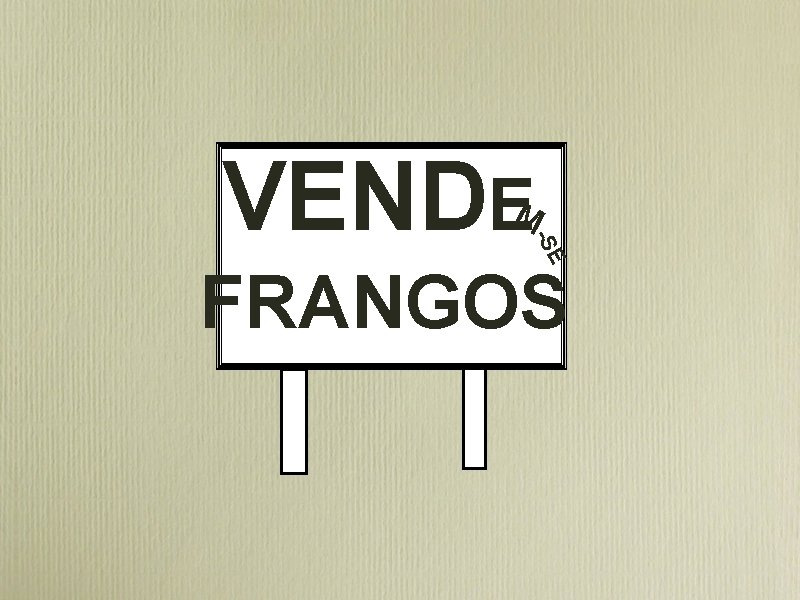 VENDE M -SE FRANGOS 