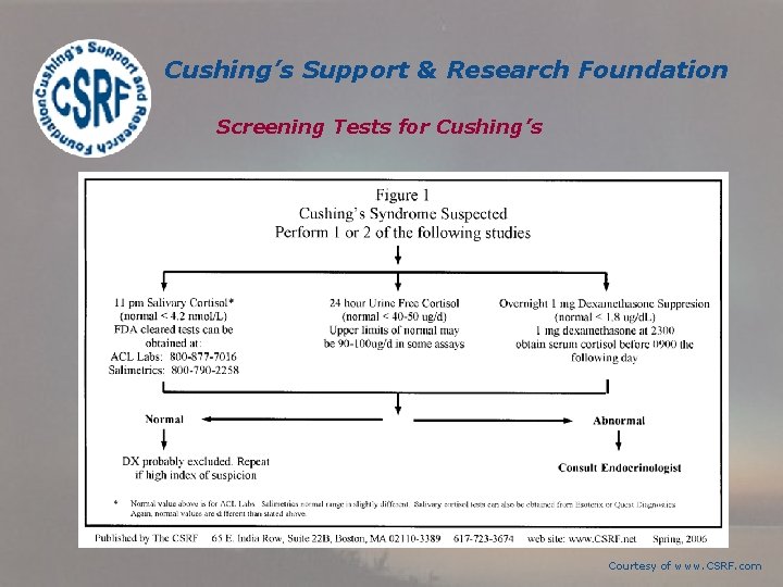 Cushing’s Support & Research Foundation Screening Tests for Cushing’s Courtesy of www. CSRF. com Cushing’s Support & Research Foundation Screening Tests for Cushing’s Courtesy of www. CSRF. com