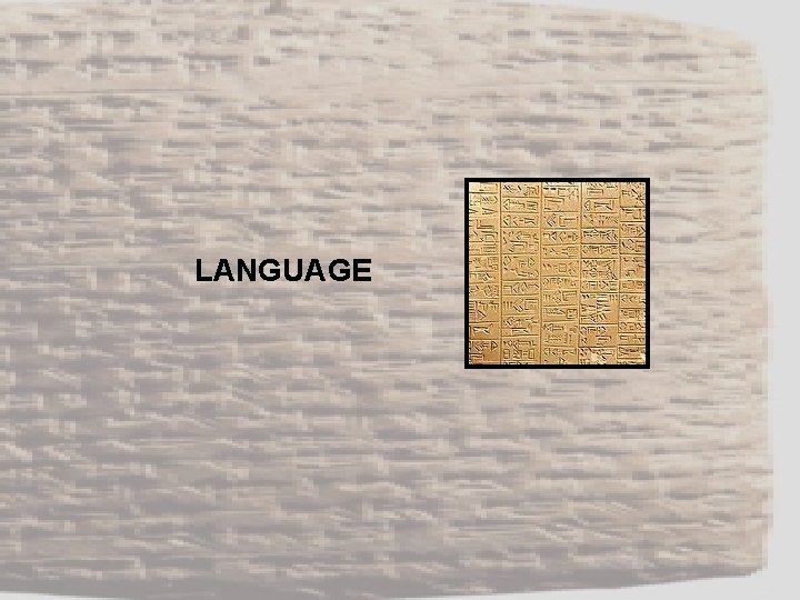 LANGUAGE 