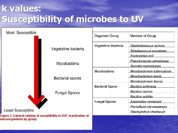 k values: Susceptibility of microbes to UV Figure 2. General ranking of suceptibility to