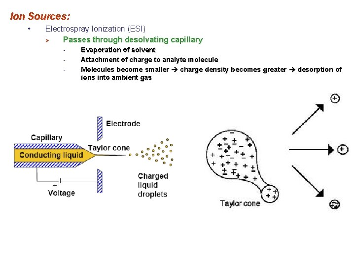 Ion Sources: • Electrospray Ionization (ESI) Ø Passes through desolvating capillary - Evaporation of