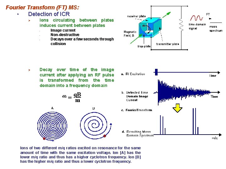 Fourier Transform (FT) MS: • Detection of ICR Ø Ions circulating between plates induces