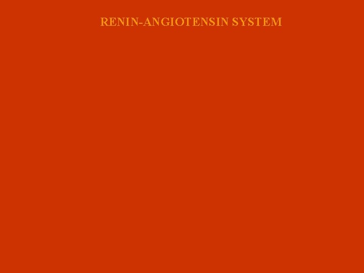 RENIN-ANGIOTENSIN SYSTEM 