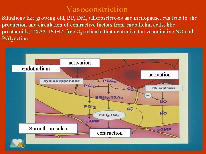  Vasoconstriction Situations like growing old, BP, DM, atherosclerosis and menopause, can lead to