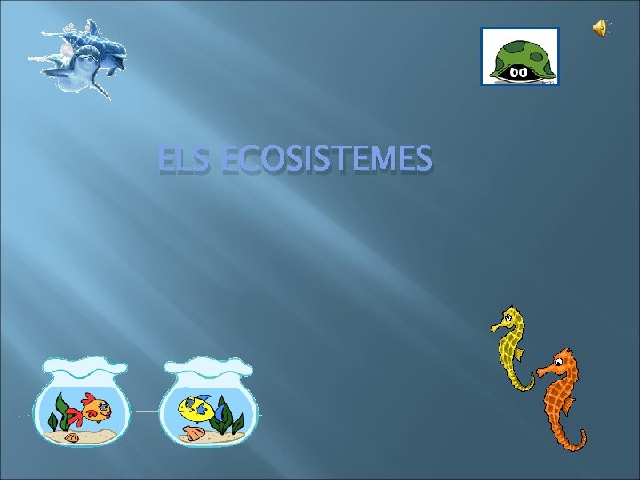 ELS ECOSISTEMES 