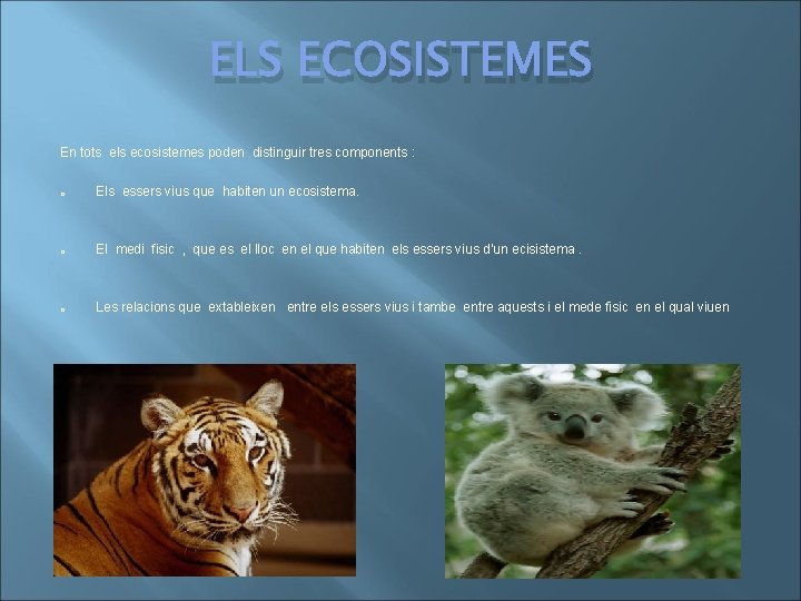 ELS ECOSISTEMES En tots els ecosistemes poden distinguir tres components : o Els essers