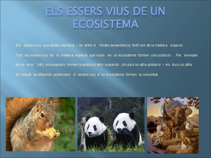 ELS ESSERS VIUS DE UN ECOSISTEMA Els essers vius que poden reproduir – se