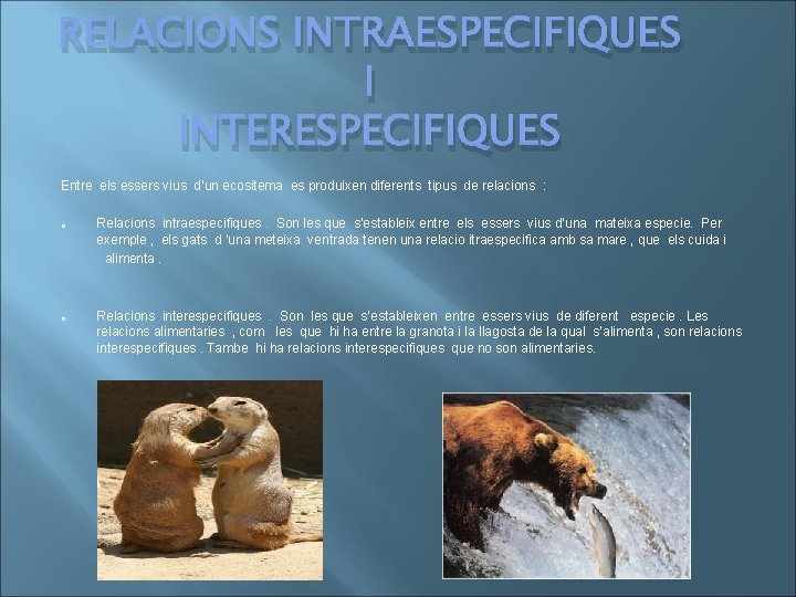 RELACIONS INTRAESPECIFIQUES I INTERESPECIFIQUES Entre els essers vius d’un ecositema es produixen diferents tipus