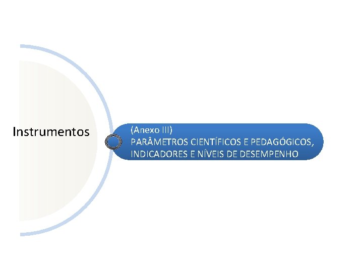 Instrumentos (Anexo III) PAR METROS CIENTÍFICOS E PEDAGÓGICOS, INDICADORES E NÍVEIS DE DESEMPENHO 