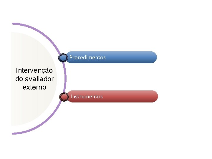 Procedimentos Intervenção do avaliador externo Instrumentos 
