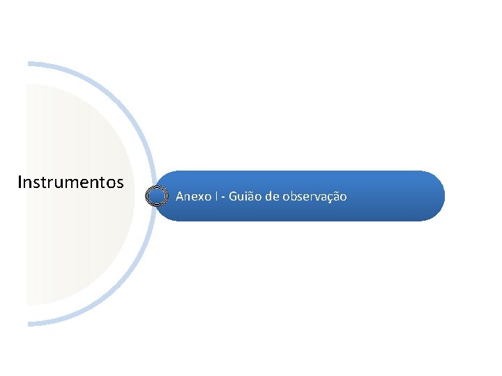 Instrumentos Anexo I - Guião de observação 