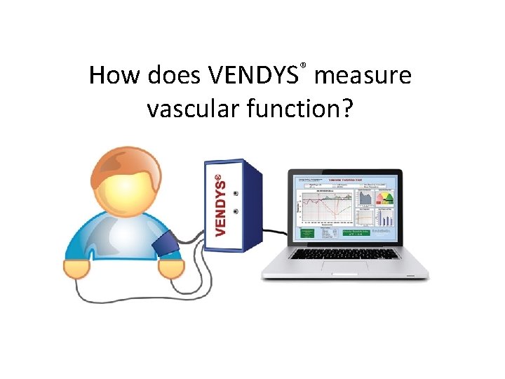 How does VENDYS measure vascular function? ® 