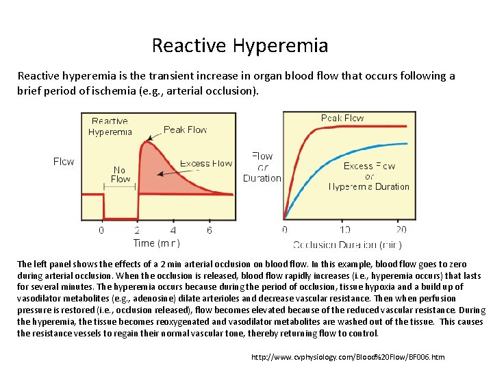 Reactive Hyperemia Reactive hyperemia is the transient increase in organ blood flow that occurs
