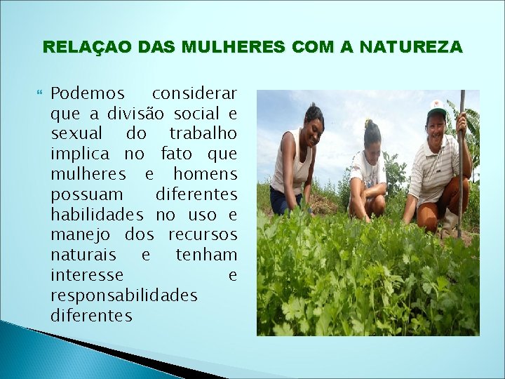 RELAÇAO DAS MULHERES COM A NATUREZA Podemos considerar que a divisão social e sexual