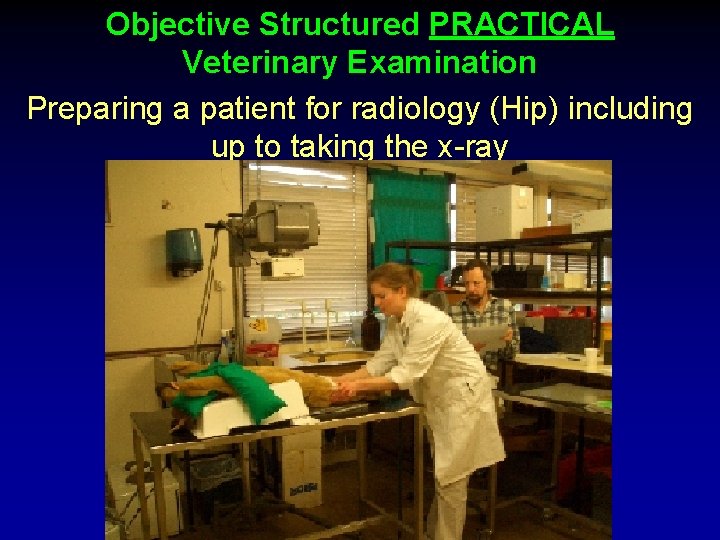 Objective Structured PRACTICAL Veterinary Examination Preparing a patient for radiology (Hip) including up to