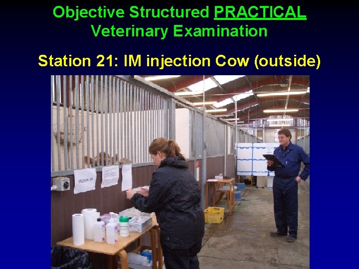 Objective Structured PRACTICAL Veterinary Examination Station 21: IM injection Cow (outside) 