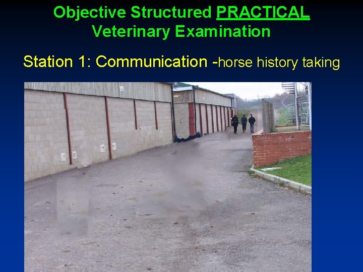 Objective Structured PRACTICAL Veterinary Examination Station 1: Communication -horse history taking 