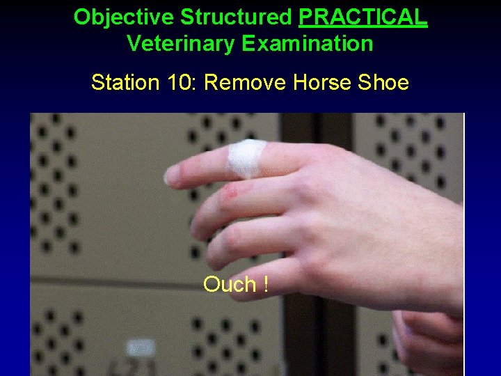 Objective Structured PRACTICAL Veterinary Examination Station 10: Remove Horse Shoe Ouch ! 