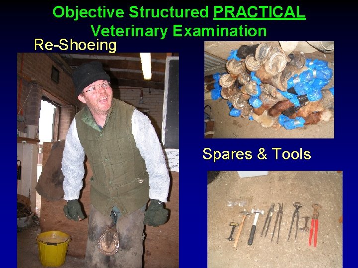 Objective Structured PRACTICAL Veterinary Examination Re-Shoeing Spares & Tools 