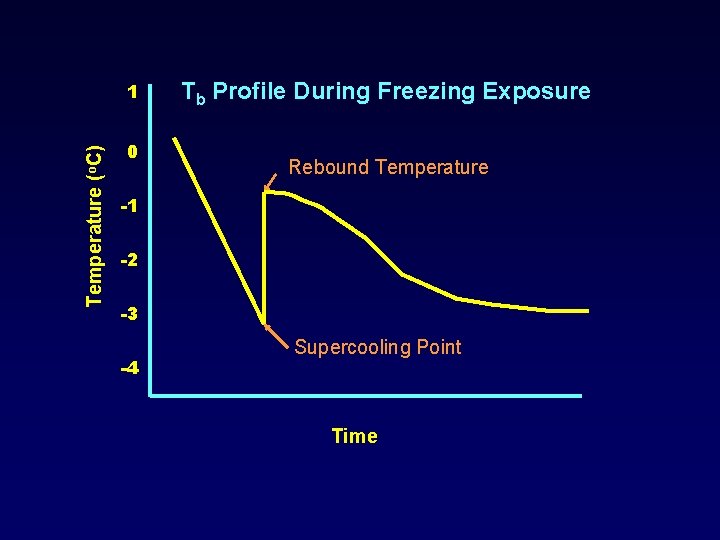 Temperature (o. C) 1 0 Tb Profile During Freezing Exposure Rebound Temperature -1 -2