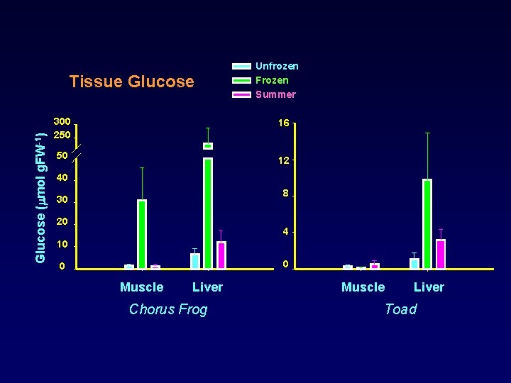 Glucose ( mol g. FW-1) Tissue Glucose Unfrozen Frozen Summer 300 250 16 50