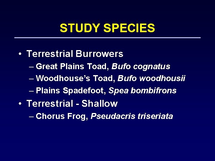 STUDY SPECIES • Terrestrial Burrowers – Great Plains Toad, Bufo cognatus – Woodhouse’s Toad,