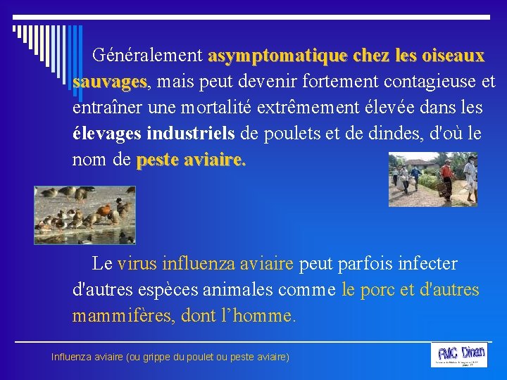  Généralement asymptomatique chez les oiseaux sauvages, mais peut devenir fortement contagieuse et sauvages