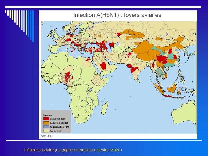 Influenza aviaire (ou grippe du poulet ou peste aviaire) 