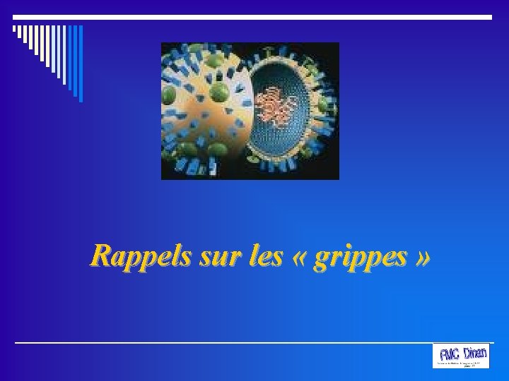  Rappels sur les « grippes » 